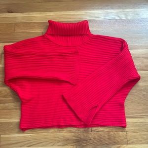 Red turtleneck sweater
